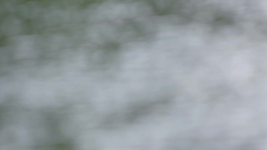Rippling water passes by but is not clearly discernible and quite blurry