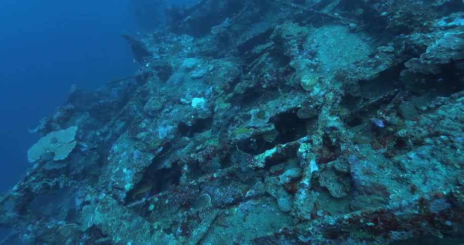 Scuba diver exploring wreck