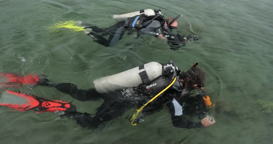 Two divers swim in the ocean