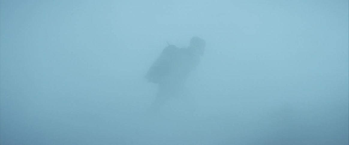 A person walking in a snowy blizzard
