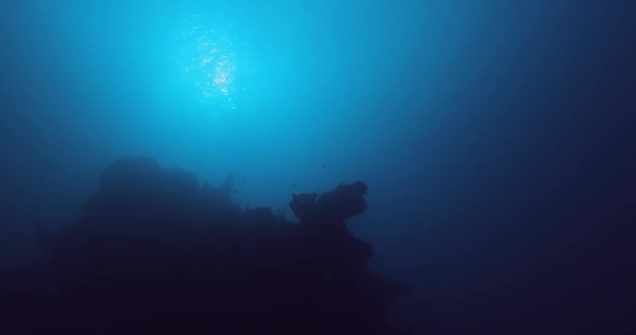 Creepy underwater view in the ocean