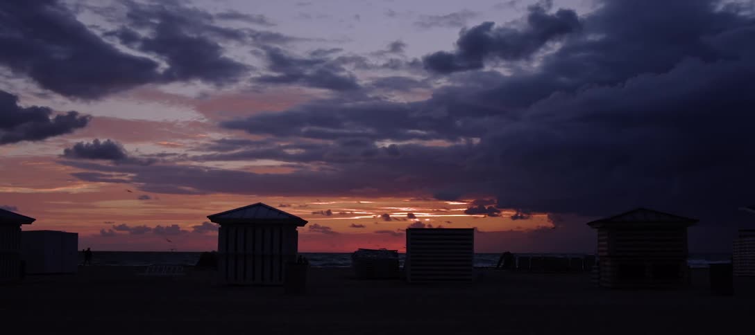 Birds fly over small buildings against the orange sky after sunset