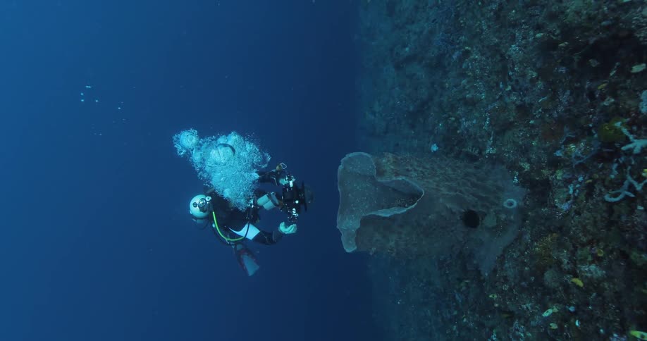 A diver underwater