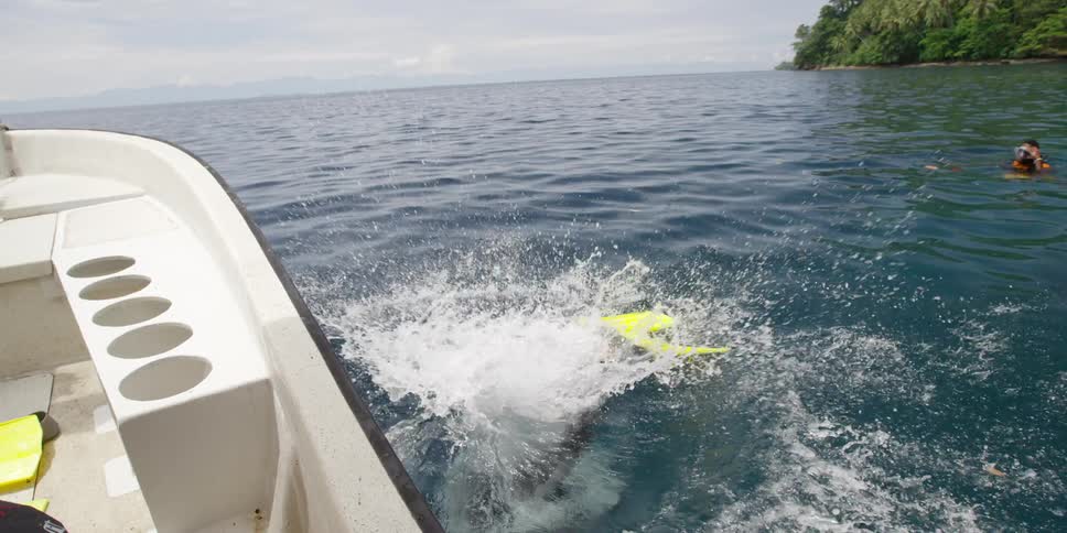 A diver falls backwards into the ocean