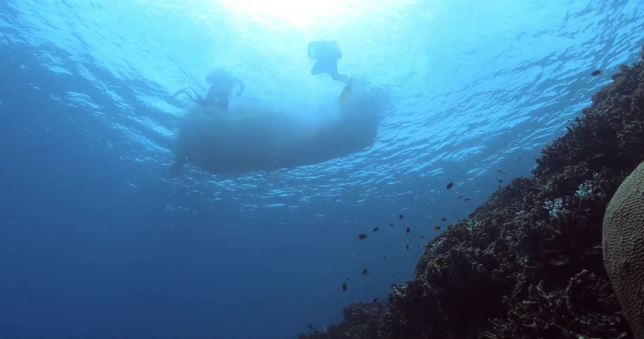 Divers jump from a boat into the ocean