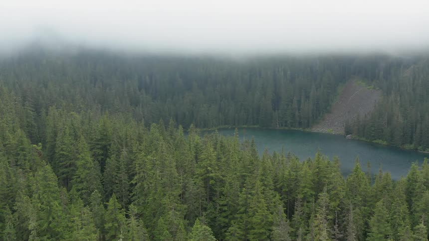 Clouds float over the dense forest and lake during daylight