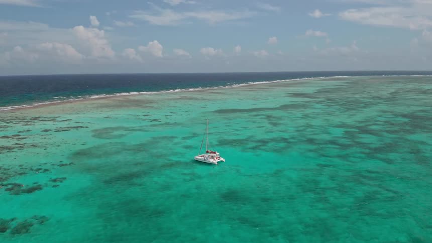 A catamaran is stationary atop the ocean water above a large coral reef