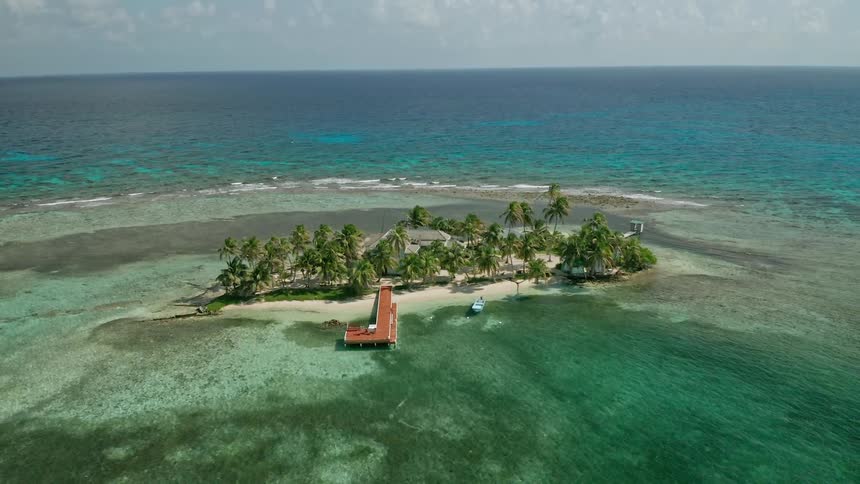 A small island is covered in palm trees and has a building and dock built on it