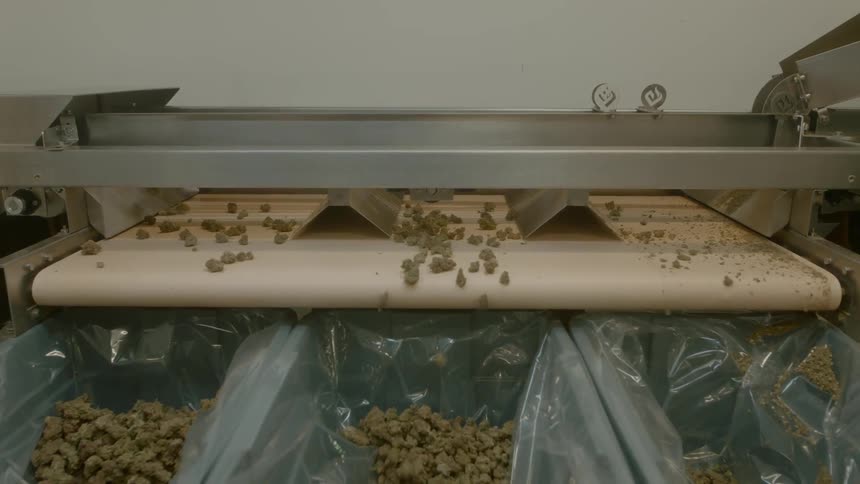 A machine filtering beans