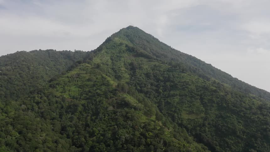 Tree covered mountains under a cloudy sky