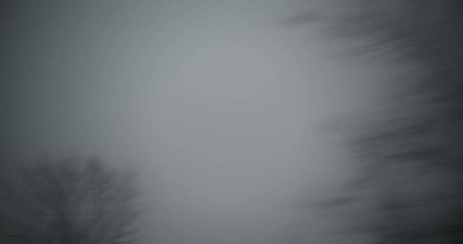 Barren trees of varying sizes line a street