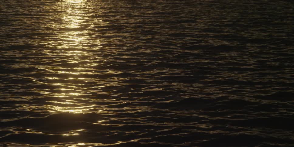 Sunlight reflects off of rippling water