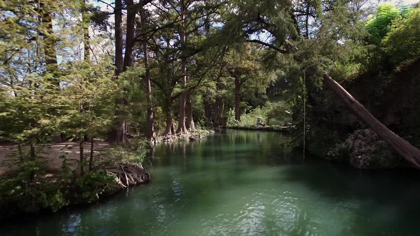 A river in a forest