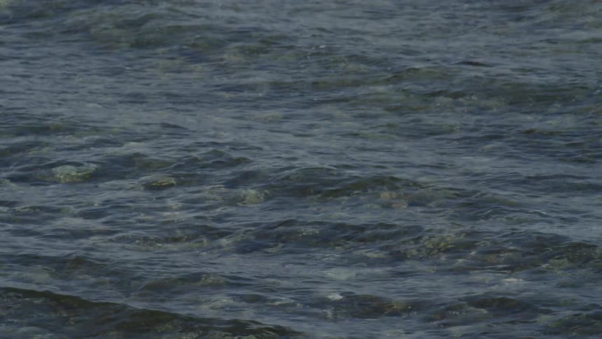 Calm waters flow into shore