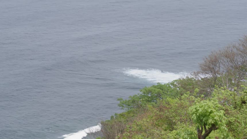 Waves roll onto tree covered shore