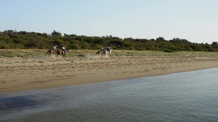 A footage of a horse racing near the beach