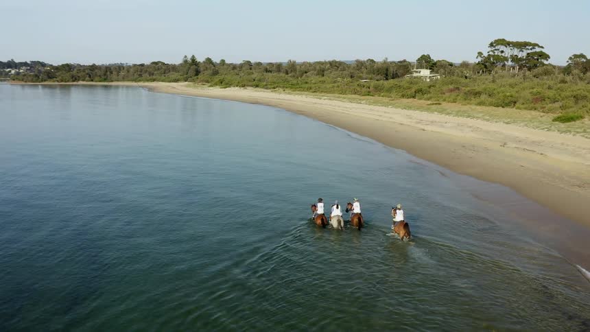 People ride horses in the water next to a beach