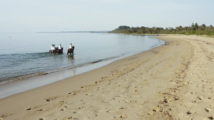 People riding horse on the beach coastal