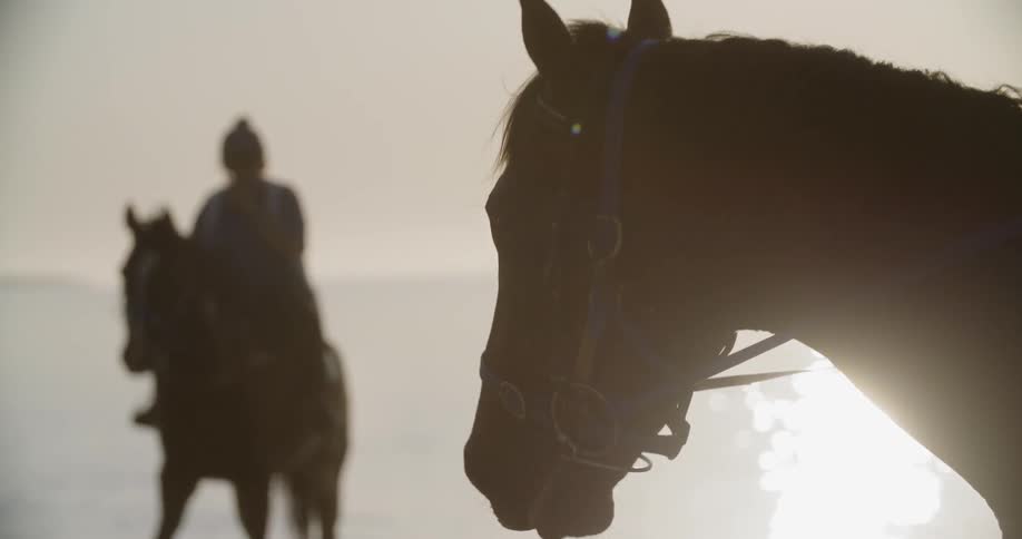 People ride horses next to water