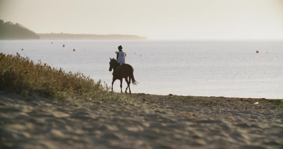 A woman riding a horse on the beach coastal