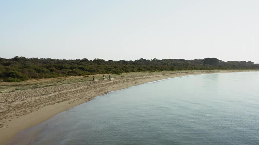 Three people ride horses on a beach next to the sea