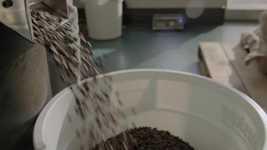 Roasted coffee beans dispensed into large white tub