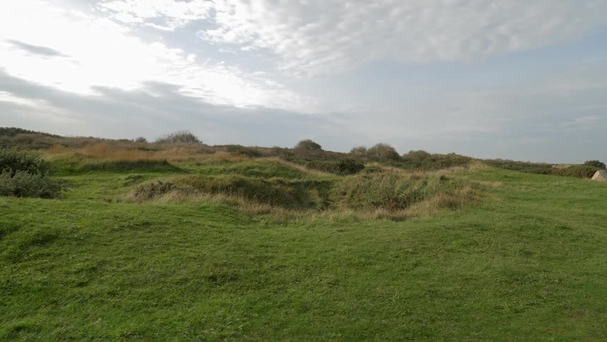 A scenery of a wide grass land