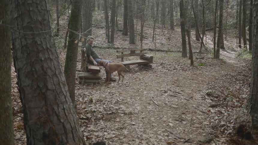 Man sitting on the wooden bench calls dog in the forest