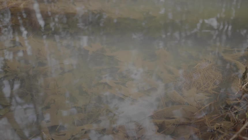 A footage of water reflection under the fog