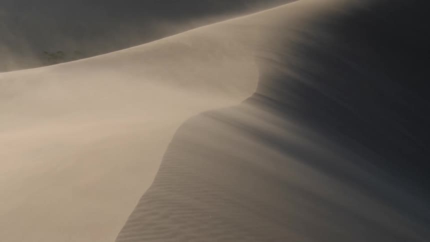 A scenery at the dune