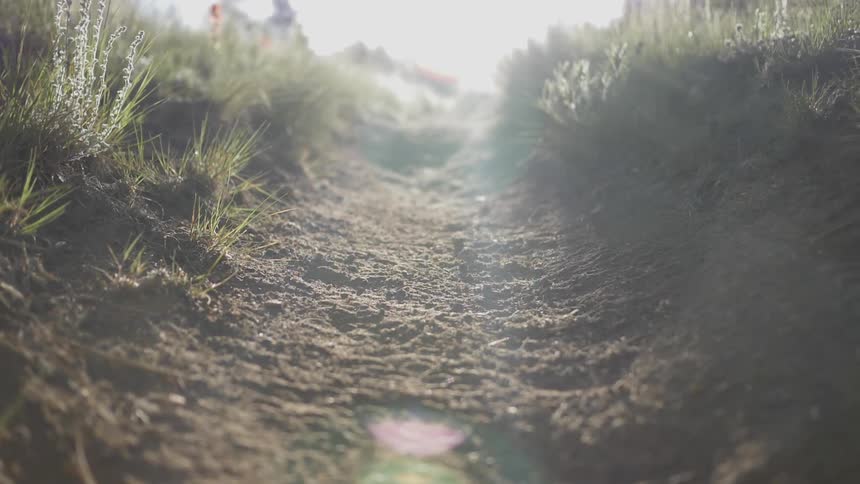 A deep dirt trail runs through a grass lawn