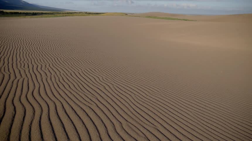 Ripples form uniform lines in the sand of a vast desert