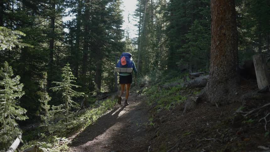 A person hikes through the forest