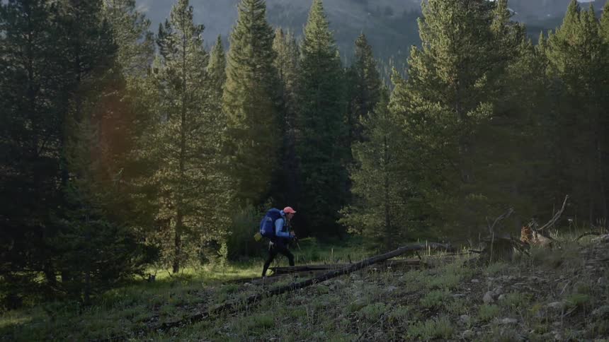 A person hikes through a forest with a large backpack and bedroll