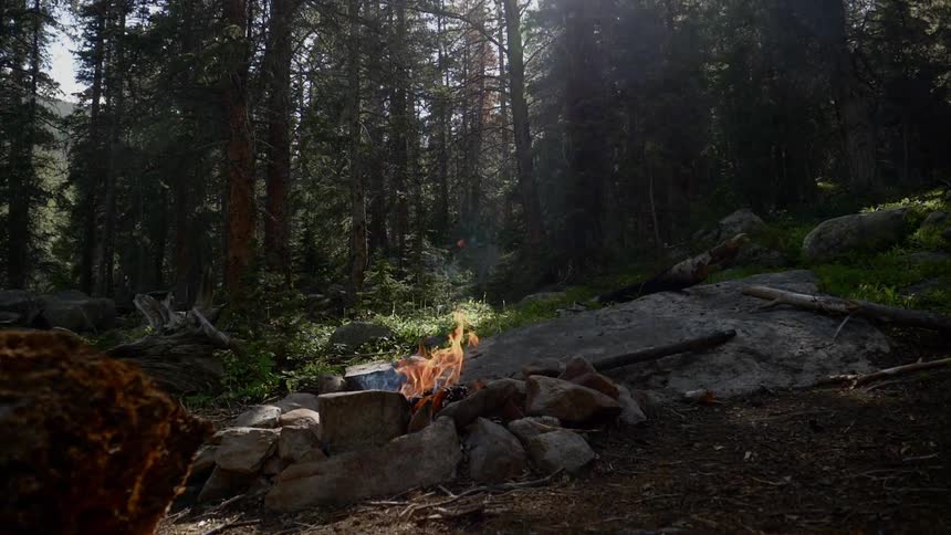 In the shadows of towering pine trees a small campsite has an open fire burning away