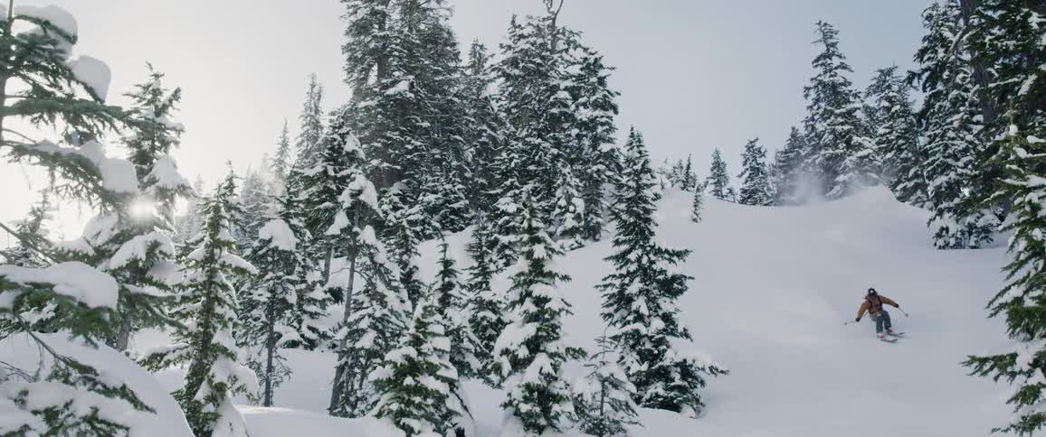 A person is skiing down a snowy slope between evergreen trees