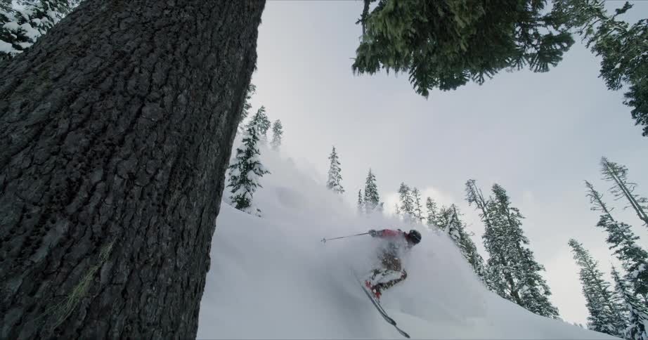 A person is skiing down a steep slope next to a large tree