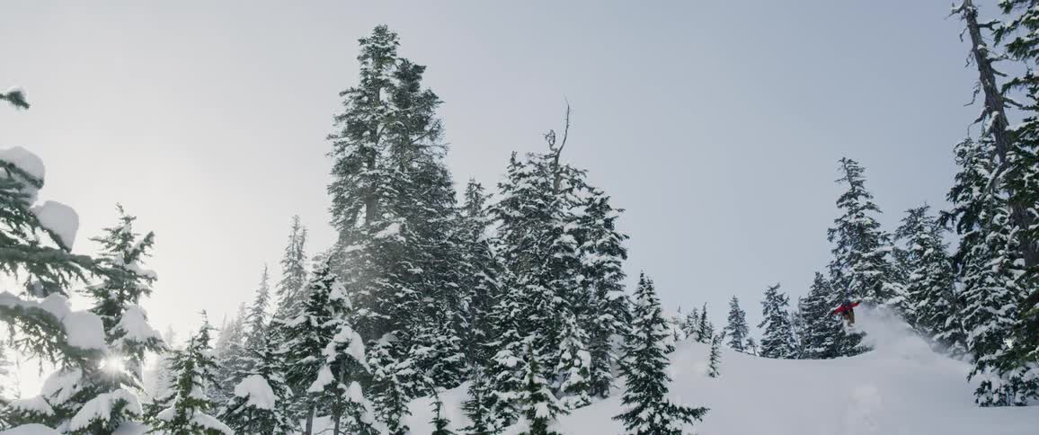 Skier jumps down slope between snow covered conifers
