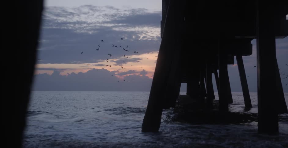 The birds fly over the pier at sunset
