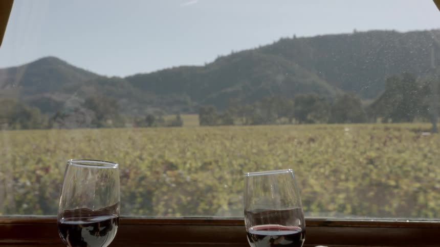 A couple cheering with a glass of wine on the train