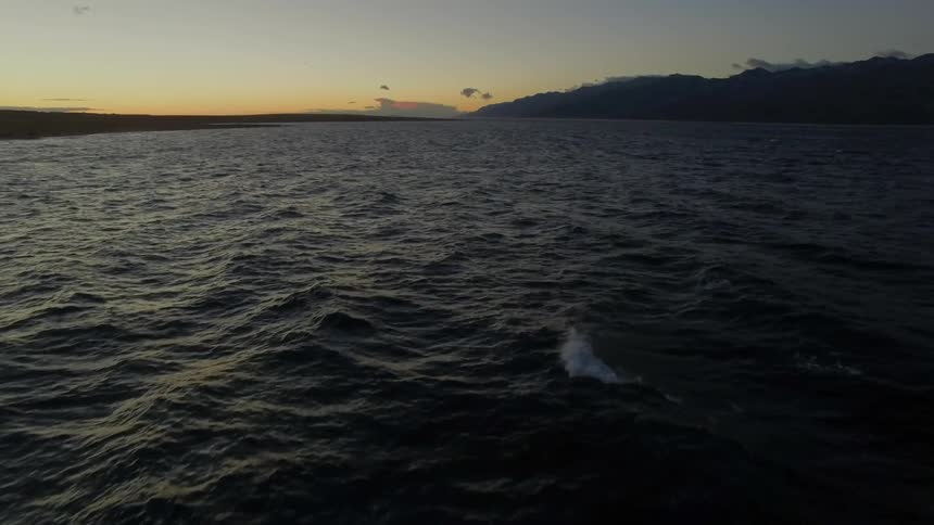 The waves are rough near the shore at dawn
