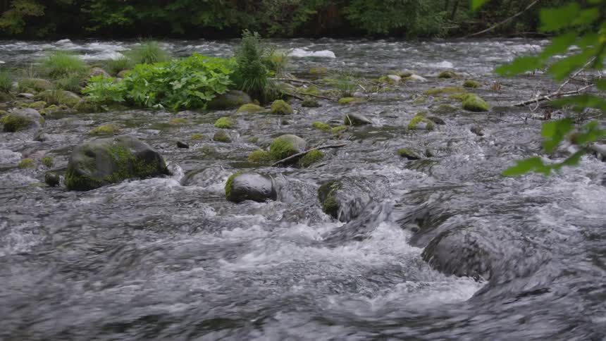 Water flows across rocks between tree covered banks