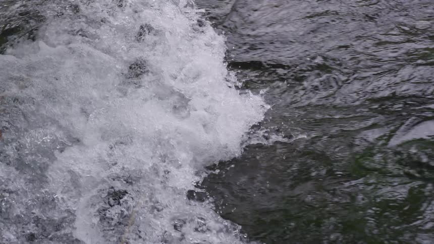 Tide collides with rip curl