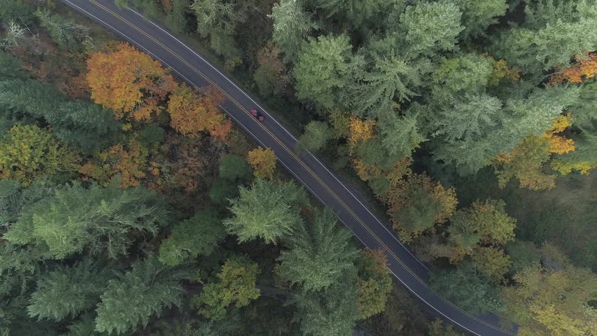 Red car drives on two lane straight road in a forest