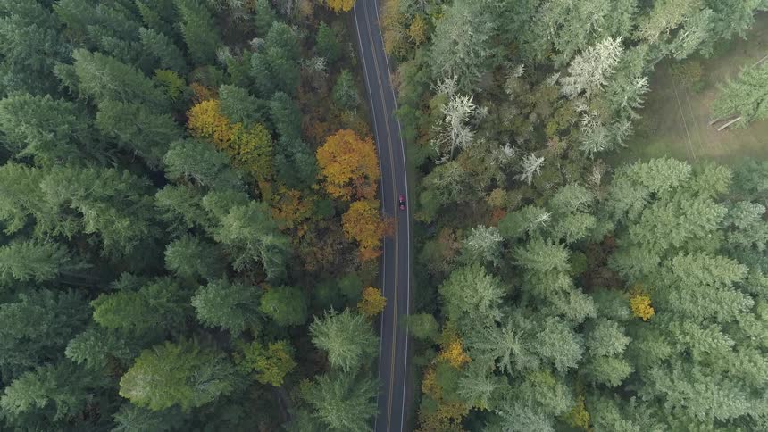 An aerial view of a car driving on a forest road in autumn