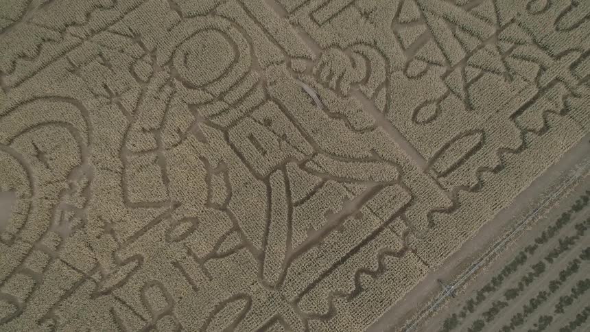 A footage of a symbol on a ruins
