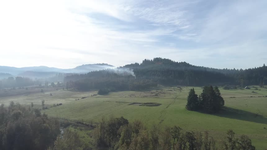 Aerial view of grassland and forest covered by fog in the daytime