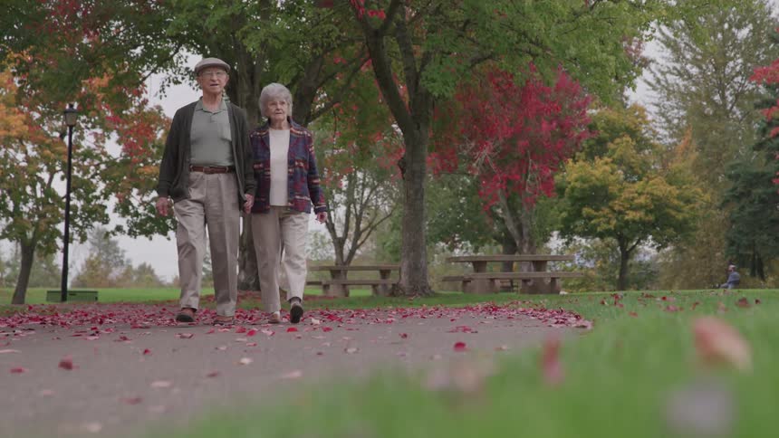 An elderly couple is walking through park outdoors