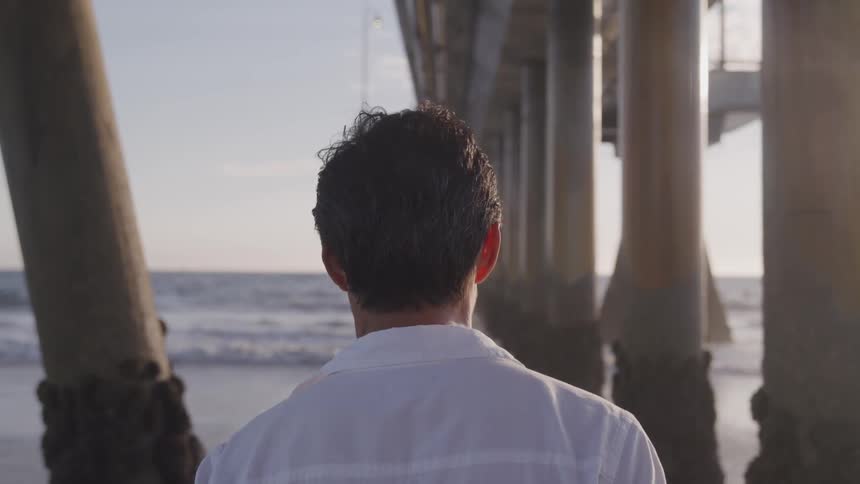 A man stands under a pier watching the birds and ocean