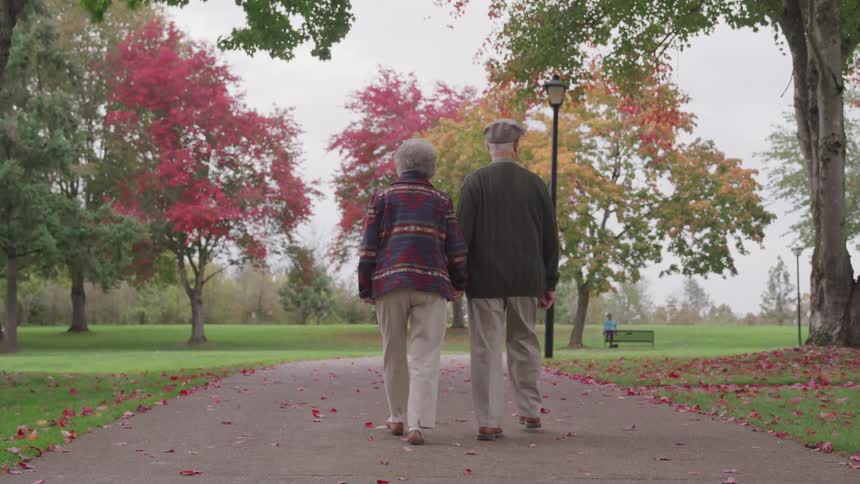 An old couple walks on the public park